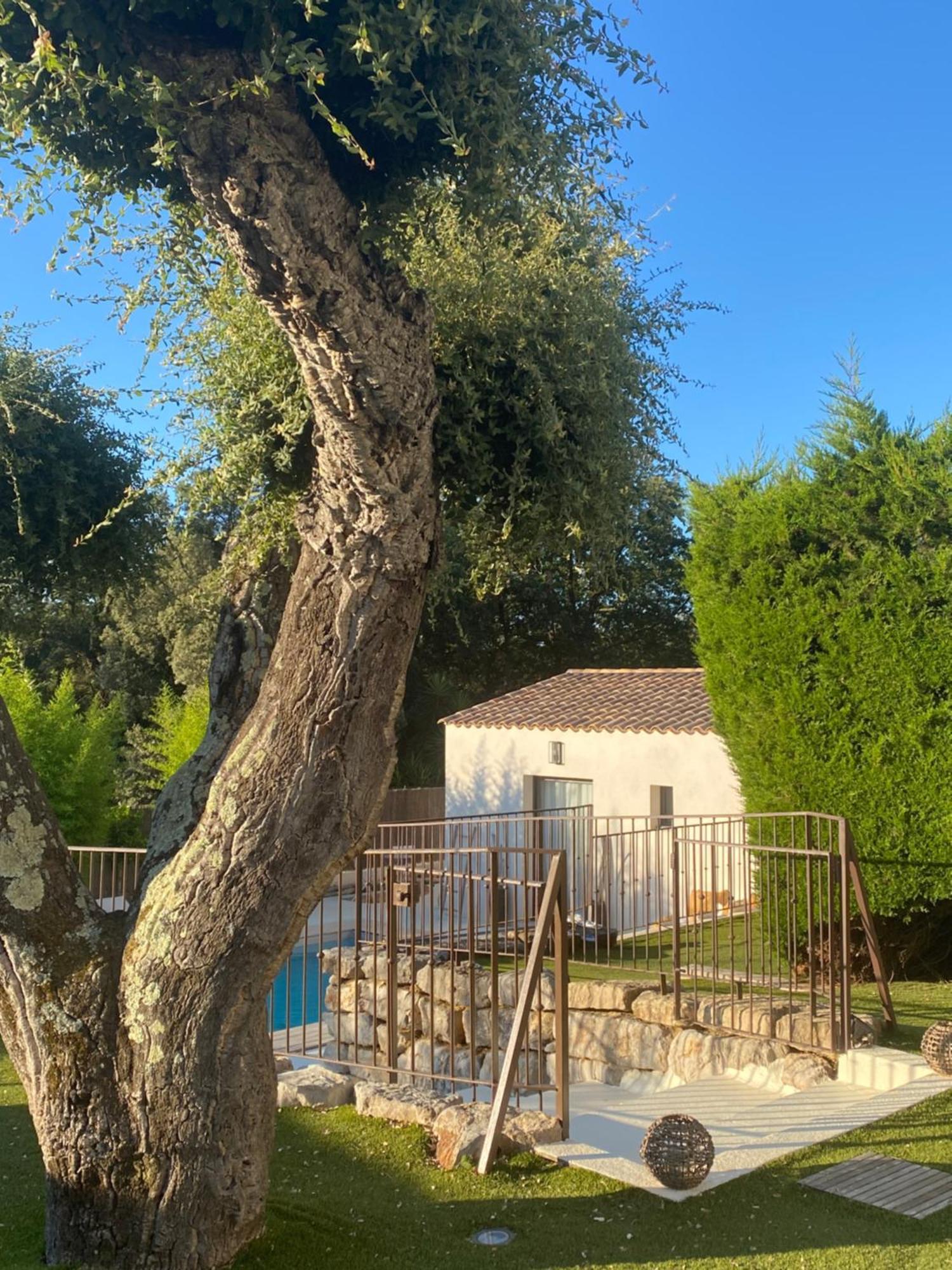 Le Cabanon De Val Panzió Gassin Kültér fotó